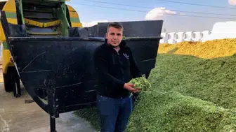Besicilerin yeni kurtarıcısı: Artan maliyetler üreticiyi tarlaya yöneltti