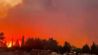 Muğla'da ormanlık alanda korkutan alevler: Ekipler seferber oldu