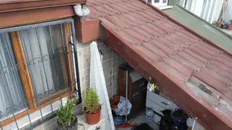 Sultangazi'de kabus dolu günler: Çatı katını mesken tutan arılar aileyi evinden etti