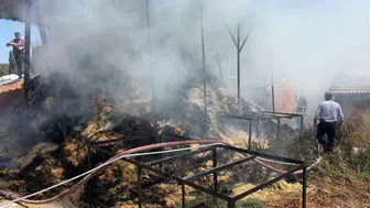Bilecik'te saman balyaları alevlere teslim oldu: İki köyde eş zamanlı panik