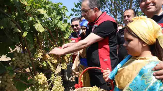 Gökçeada bağlarında bereketli mesai: Bakan Yardımcısı Gümen üreticinin yanında
