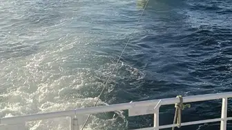 Marmara'nın ortasında korku dolu anlar: Sürüklenen teknedeki 3 kişi için seferberlik