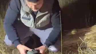 Yaban hayatını hedef alan sinsi tehlikeye karşı operasyon düğmesine basıldı