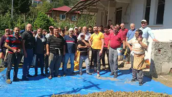 Acı dolu bahçede dayanışma vakti: Mahalleli, hayatını kaybeden kardeşlerin yarım kalan hasadını tamamladı