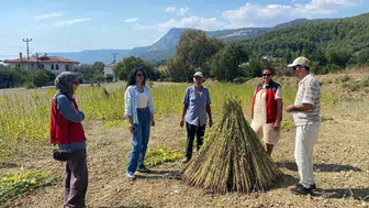 Muğla'da organik tarım hamlesi: Susam tarlalarında denetim süreci start aldı