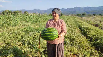Pijamalı karpuzda ata tohumu bereketi: 2 dönümden 10 tonluk hasat