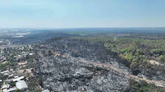 Antalya'da yangın felaketinin izleri siliniyor: Ekipler sahada seferberlik ilan etti