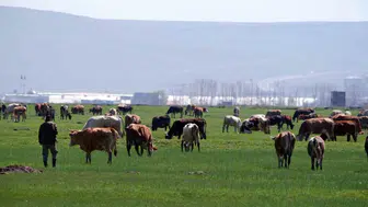 Erzurum'un bereketli topraklarına 171 milyon liralık dev yatırım müjdesi