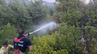Antakya'da ormanlık alanda korkutan dumanlar: Ekipler zamanla yarıştı