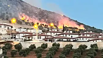 Adıyaman'da meşe ormanları alevlere teslim oldu: Ekipler seferber edildi