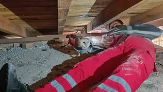 Hüzünlü bekleyiş sona erdi: Eşinin başından ayrılmayan baykuşa itfaiye şefkati