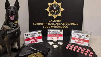 Pablo'nun keskin burnu Bayburt'ta zehir tacirine geçit vermedi