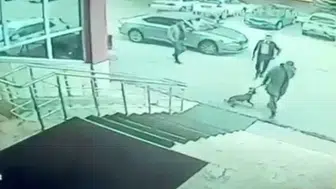 Palandöken'de şok görüntüler: Kaymakam ve koruması hakkında çok yönlü soruşturma