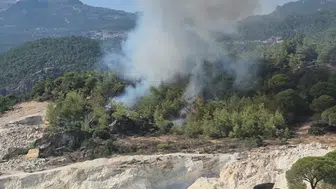 Milas alevlere teslim: Ekipler seferber oldu
