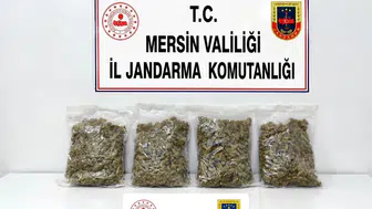 Toroslar'da zehir tacirlerine jandarma darbesi: İki kişi kıskıvrak yakalandı