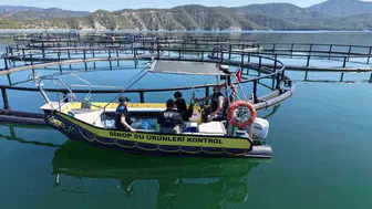 Sinop'ta Türk somonu için kritik denetim mesaisi
