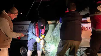 Beyler Barajı'nda kaçak avcılık operasyonu: 225 balık ölümden döndü