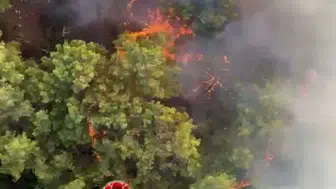 Antalya'da ormanlık alanda korkutan dumanlar: Ekipler seferber oldu