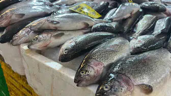 İzmir'de sofraların özlenen bereketi geri döndü: Havra Sokağı'nda sezon coşkusu