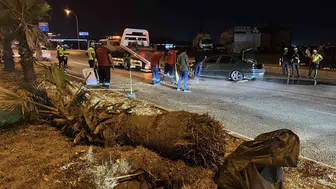 Kahramanmaraş'ta korkutan kaza: Refüjdeki ağaca çarpan otomobil takla attı