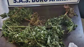 Diyarbakır'da nefes kesen kovalamaca: Elindeki bitkilerle yakayı ele verdi