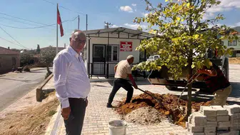 Sultanhisar'da Geleceğe Nefes Olacak Hamle: Fidanlar Toprakla Buluşuyor