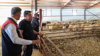 Tunceli'de hayvancılıkta yeni dönem: Devlet desteğiyle modern tesisler yükseliyor
