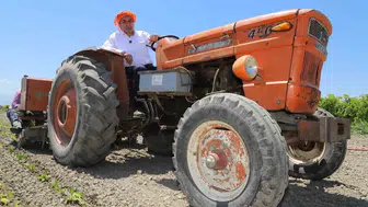 Saruhanlı Belediye Başkanı Ekrem Cıllı'nın üzüm hasadında geçirdiği kaza korkuttu