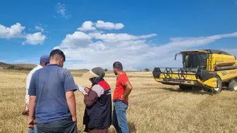 Bayburt tarlalarında hasat mesaisi: Kayıpları önlemek için denetimler sıkılaştırıldı