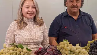 Denizli'nin bereketli topraklarında tescilli gurur: Avşar üzümü festivalle taçlanıyor