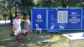 Antalya'da sokak kedileri için mobil çözüm: Kısırlaştırma hizmeti parklara taşındı