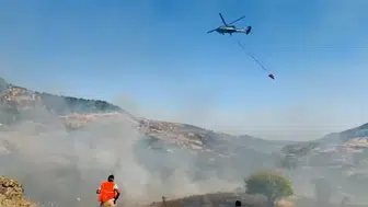 Çakaran Vadisi'nde alevlerle zorlu mücadele: Ekipler sarp arazide ter döküyor