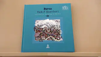 Bursa'nın Taş Duvarları Dile Geldi: 385 Eser 35 Bin Kareyle Ölümsüzleşti