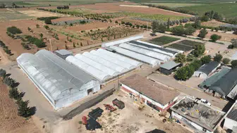 Şanlıurfa’nın parkları kendi seralarından gelen renklerle kışa hazırlanıyor