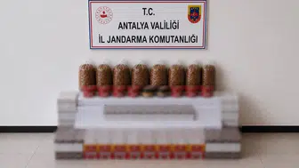 Manavgat'ta tütün kaçakçılarına jandarma baskını: Tonlarca ürün ele geçirildi
