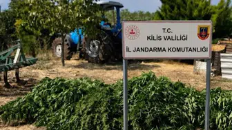 Kilis'te jandarma baskını: Köy evinde devasa uyuşturucu zulası bulundu