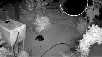 Bağ evini talan eden hırsızın kaçışı kısa sürdü: Jandarma iz sürdü