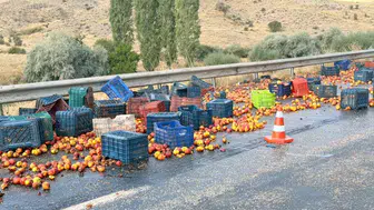 Polatlı-Haymana yolunda şeftali hasadı: Tır devrilince asfalt meyve bahçesine döndü