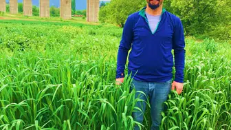 Bilecik'te hayvancılığın geleceğini değiştirecek formül: Yem şalgamı ve bezelye iş birliği