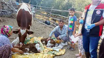 Muğla'da hayvancılıkta kritik hamle: Bir telefonla kurtulan canlar