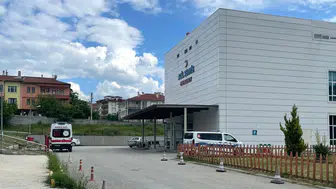 Taşköprü'de ormanda acı veda: Arı sokması 65 yaşındaki işçiyi hayattan kopardı