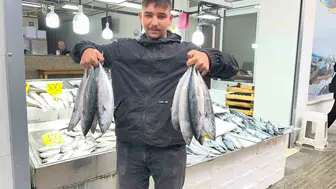 Sinop tezgahlarında palamut şöleni: Fiyatlar dip yaptı