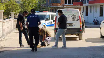 Erfelek'te kan donduran saldırı: Sokak köpeği sokak ortasında katledildi
