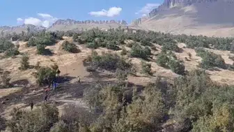Şırnak'ta ormanlık alanda korkutan dumanlar: Ekipler seferber oldu