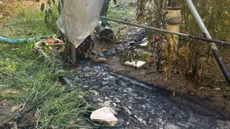 Bilecik'te korkutan dumanlar: Ekipler alevlere geçit vermedi