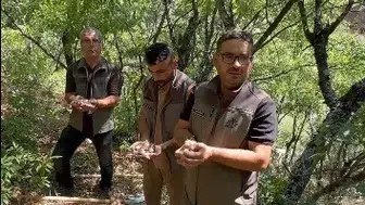 Doğanın nadide hazinesini sökmeye kalktılar: Faturası dudak uçuklattı