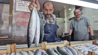 Karadeniz'in bereketi Düzce'ye taştı: Tezgahlarda palamut ve hamsi şöleni