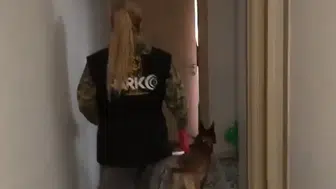 Başkentte zehir tacirlerine ve fuhuş çetelerine ağır darbe: 64 şüpheli mercek altında