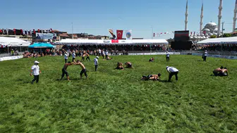 Kula Er Meydanı’nda Altın Kemerin Yeni Sahibi Belli Oldu