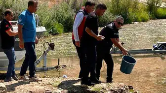 Hatay'ın sularında devasa hareketlilik: 682 bin yeni misafir bırakıldı